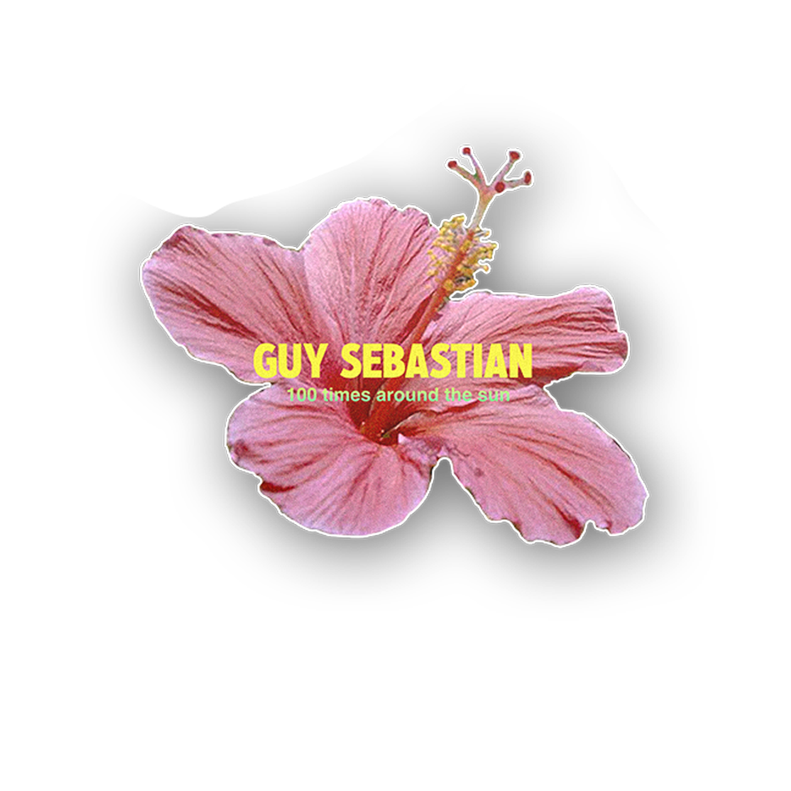 GS Hibiscus Sticker